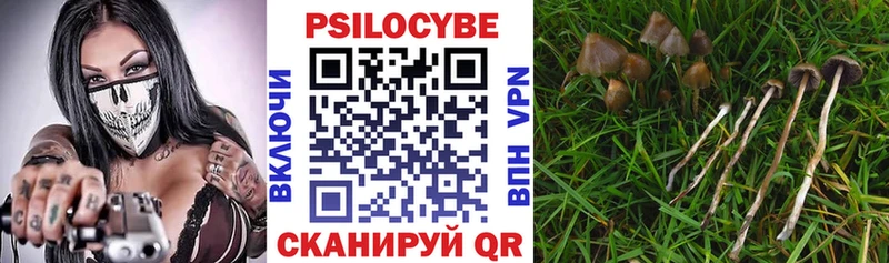 Купить где  Старый Крым  Псилоцибиновые грибы MAGIC MUSHROOMS 